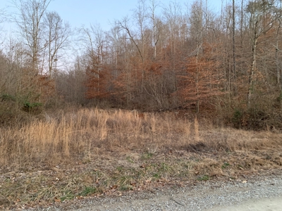 Hunting Land-Recreational Property-Secluded / Liberty, Ky. - image 11