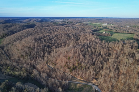 75.15+/- Acres - Hunting Land - Mostly Wooded - Liberty, KY. - image 6