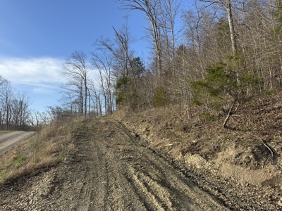 75.15+/- Acres - Hunting Land - Mostly Wooded - Liberty, KY. - image 14
