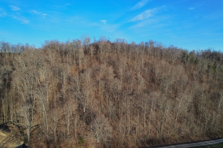 75.15+/- Acres - Hunting Land - Mostly Wooded - Liberty, KY. - image 2