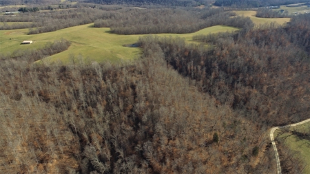 Hunting Land-Recreational Property-Secluded / Liberty, Ky. - image 22