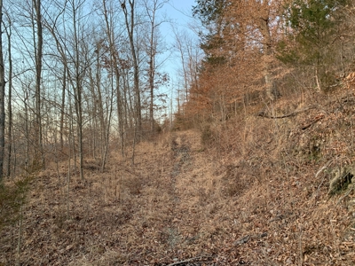 Hunting Land-Recreational Property-Secluded / Liberty, Ky. - image 1