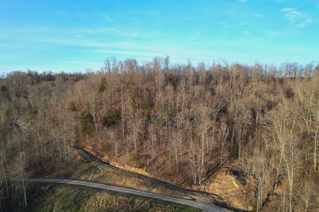 75.15+/- Acres - Hunting Land - Mostly Wooded - Liberty, KY. - image 1