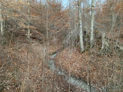Hunting Land-Recreational Property-Secluded / Liberty, Ky. - image 6