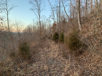 Hunting Land-Recreational Property-Secluded / Liberty, Ky. - image 2