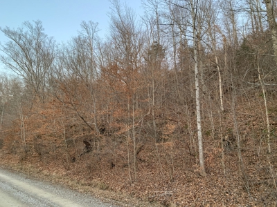 Hunting Land-Recreational Property-Secluded / Liberty, Ky. - image 4
