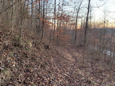 Hunting Land-Recreational Property-Secluded / Liberty, Ky. - image 13