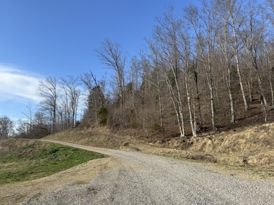 75.15+/- Acres - Hunting Land - Mostly Wooded - Liberty, KY. - image 13