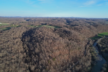 75.15+/- Acres - Hunting Land - Mostly Wooded - Liberty, KY. - image 5