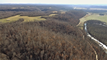Hunting Land-Recreational Property-Secluded / Liberty, Ky. - image 18