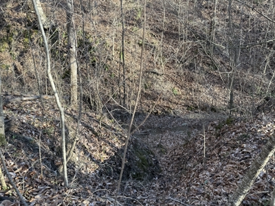 75.15+/- Acres - Hunting Land - Mostly Wooded - Liberty, KY. - image 49