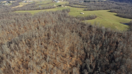 Hunting Land-Recreational Property-Secluded / Liberty, Ky. - image 21