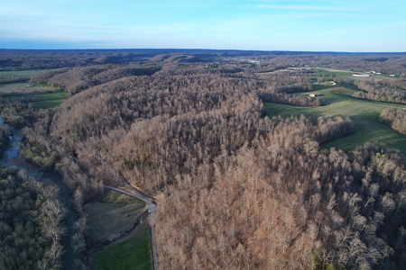 75.15+/- Acres - Hunting Land - Mostly Wooded - Liberty, KY. - image 7