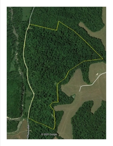 Hunting Land-Recreational Property-Secluded / Liberty, Ky. - image 17
