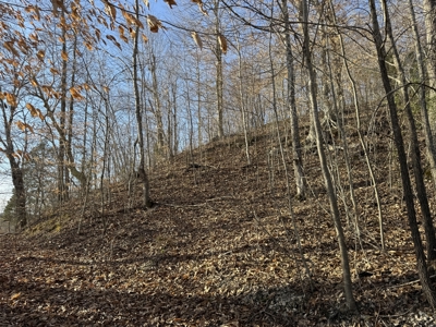 75.15+/- Acres - Hunting Land - Mostly Wooded - Liberty, KY. - image 35