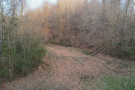 75.15+/- Acres - Hunting Land - Mostly Wooded - Liberty, KY. - image 10