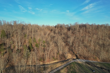 75.15+/- Acres - Hunting Land - Mostly Wooded - Liberty, KY. - image 12