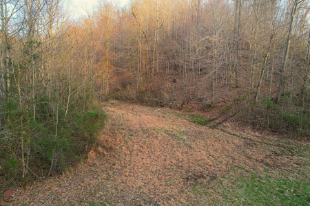 75.15+/- Acres - Hunting Land - Mostly Wooded - Liberty, KY. - image 11