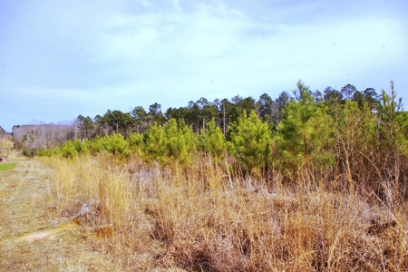 55.56 Acres Hunting Timber Land for Sale NPSD Southwest MS - image 5