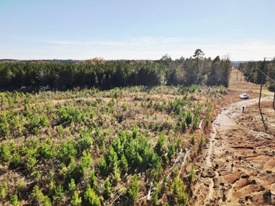 55.56 Acres Hunting Timber Land for Sale NPSD Southwest MS - image 18