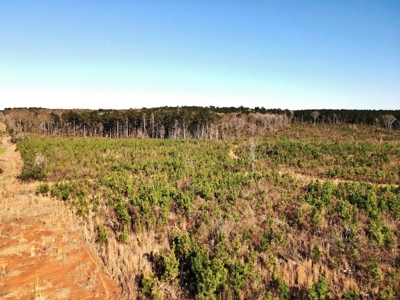 55.56 Acres Hunting Timber Land for Sale NPSD Southwest MS - image 20