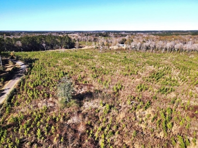 55.56 Acres Hunting Timber Land for Sale NPSD Southwest MS - image 12