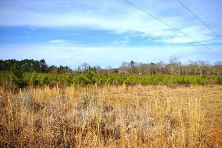 55.56 Acres Hunting Timber Land for Sale NPSD Southwest MS - image 4
