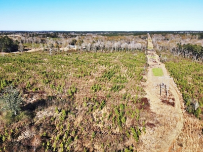 55.56 Acres Hunting Timber Land for Sale NPSD Southwest MS - image 13