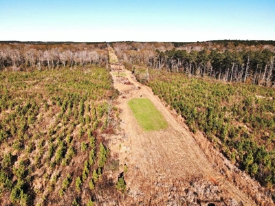 55.56 Acres Hunting Timber Land for Sale NPSD Southwest MS - image 1