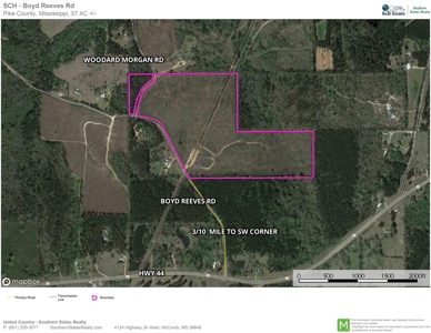 55.56 Acres Hunting Timber Land for Sale NPSD Southwest MS - image 22