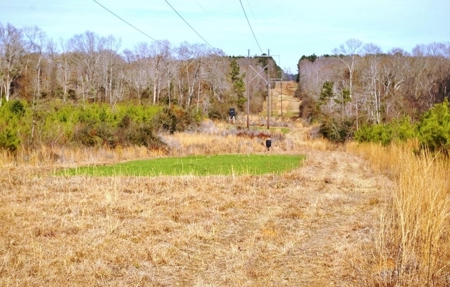 55.56 Acres Hunting Timber Land for Sale NPSD Southwest MS - image 2
