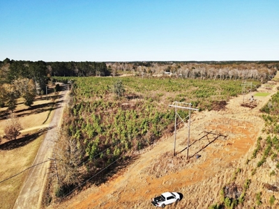 55.56 Acres Hunting Timber Land for Sale NPSD Southwest MS - image 11