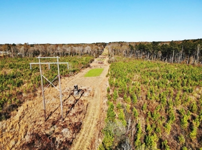 55.56 Acres Hunting Timber Land for Sale NPSD Southwest MS - image 8