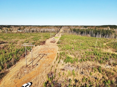 55.56 Acres Hunting Timber Land for Sale NPSD Southwest MS - image 10