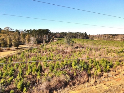 55.56 Acres Hunting Timber Land for Sale NPSD Southwest MS - image 7