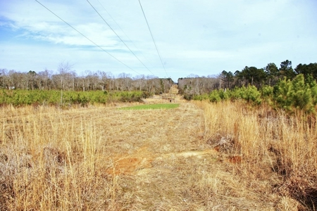 55.56 Acres Hunting Timber Land for Sale NPSD Southwest MS - image 6