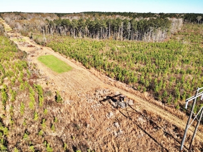55.56 Acres Hunting Timber Land for Sale NPSD Southwest MS - image 9