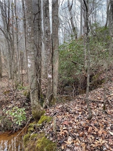 Mountain Property for Sale in Cherokee County - image 14