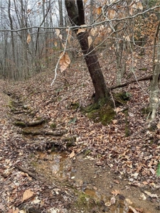 Mountain Property for Sale in Cherokee County - image 10