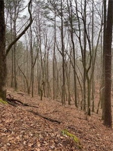 Mountain Property for Sale in Cherokee County - image 18