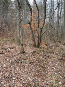 Mountain Property for Sale in Cherokee County - image 6
