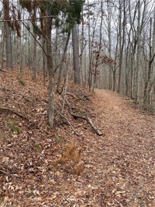 Mountain Property for Sale in Cherokee County - image 4
