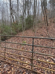Mountain Property for Sale in Cherokee County - image 13
