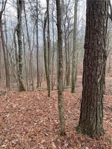 Mountain Property for Sale in Cherokee County - image 17