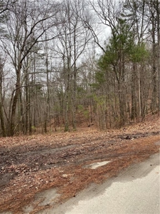 Mountain Property for Sale in Cherokee County - image 16
