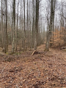 Mountain Property for Sale in Cherokee County - image 11
