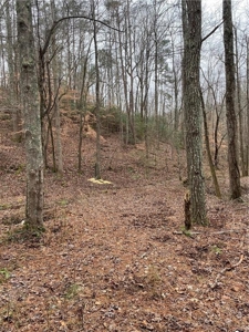 Mountain Property for Sale in Cherokee County - image 2