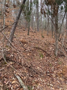 Mountain Property for Sale in Cherokee County - image 3