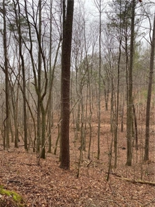 Mountain Property for Sale in Cherokee County - image 19