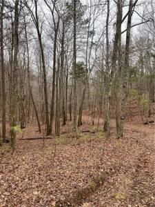 Mountain Property for Sale in Cherokee County - image 22